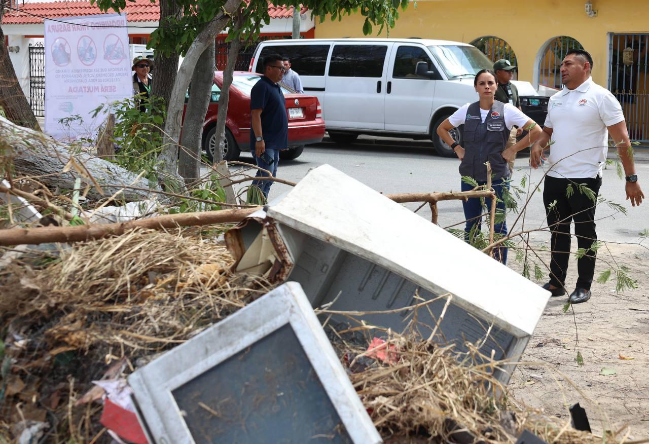 uploads/6/32/01 (1761).Jpeg